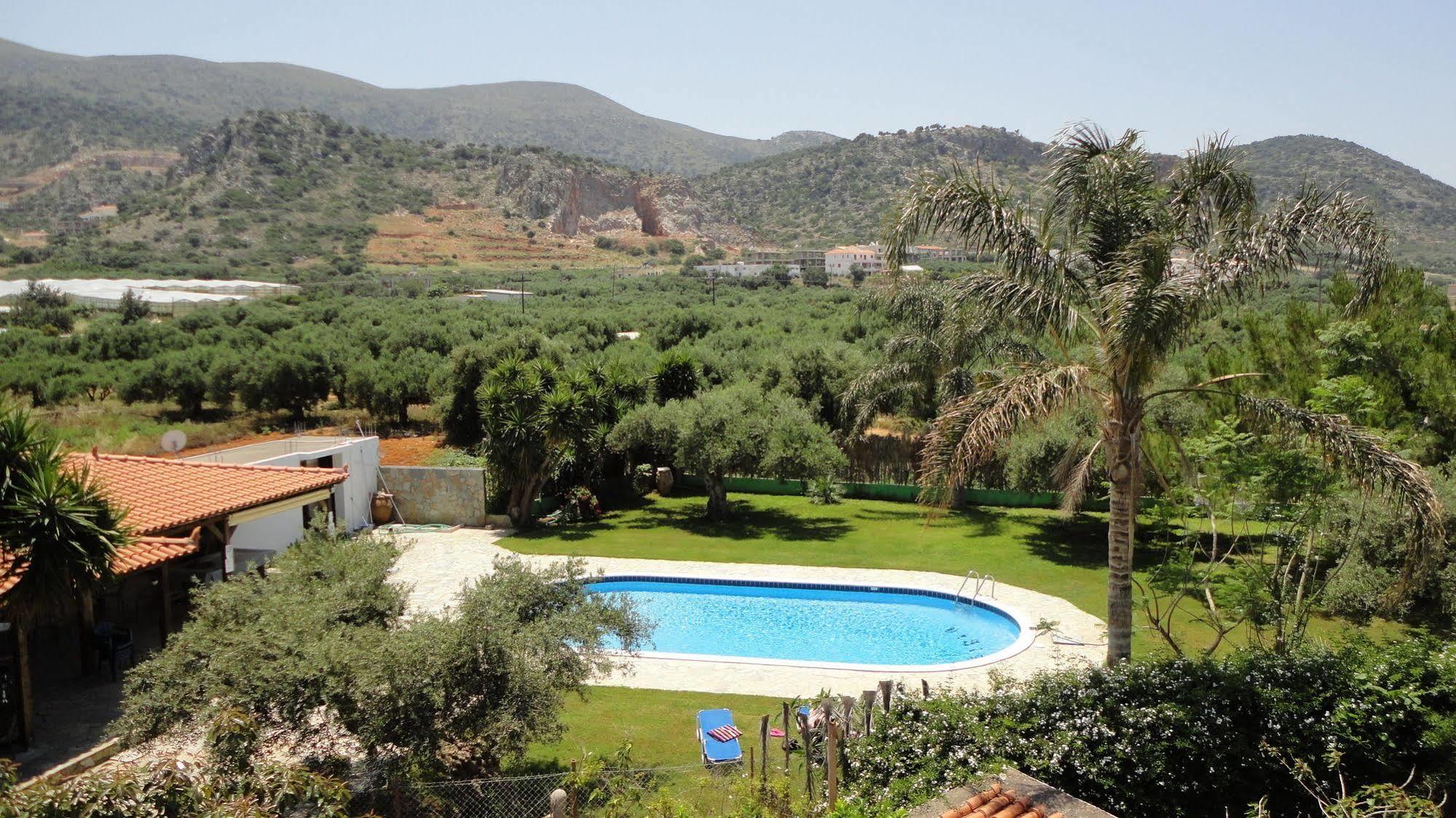 Ibiscus Hotel Malia المظهر الخارجي الصورة